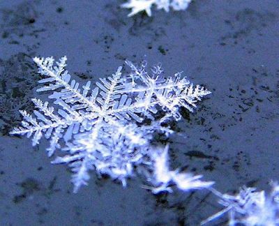 Un Fiocco di ricordi