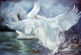 A te lasciai una piuma