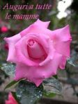 Auguri Mamme