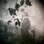 Comincia dagli occhi