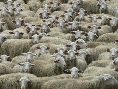 Dovrei scrivere in terza persona