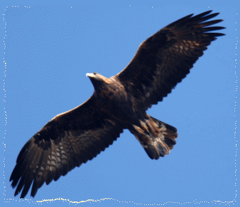 Sarò con te! Ovunque