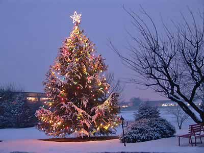 Ogni anno si ricorda