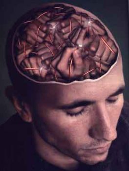 Ignoranza in cattedra