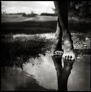 Lo Stallo & il Passo