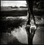 Lo Stallo & il Passo