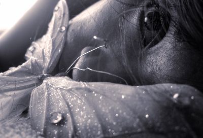 Il Bianco & il Rosso