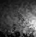 AERTE SUBLICE dice al Mondo  