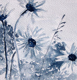 Margherite a Gennaio  