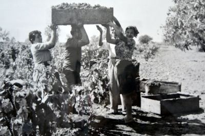 “ARRIVEDERCI” identità italiana