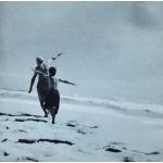 Il che � sorprendente