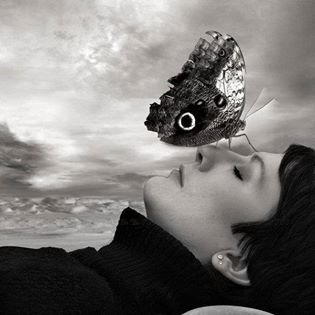 Una farfalla di nome amore