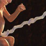 Cordone... tra me e te