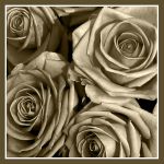 Il non- anniversario  