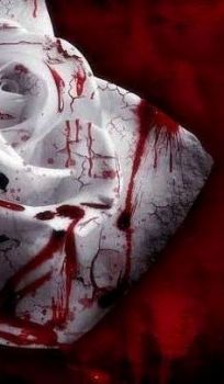 L'altra met� (parte 2)