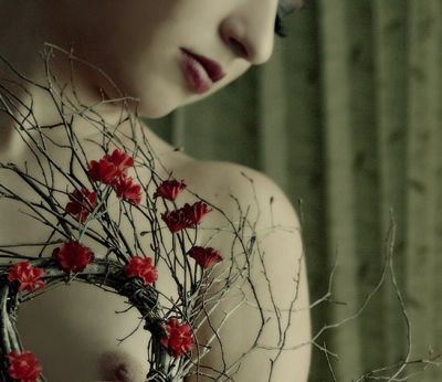 Le ragioni del cuore