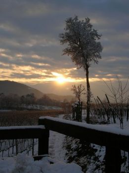 Ricordo caldo d'estate