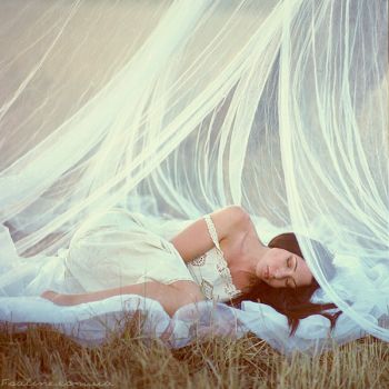 Nei silenzi scoperti