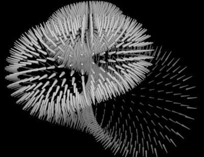 Un Mondo Nuovo in risonanza