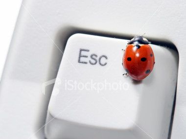 Per la stazione terminale  