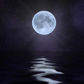 Poliedriche passioni  