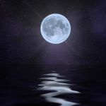 Poliedriche passioni  