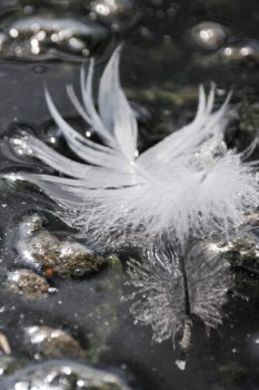 Dove il volo si perse