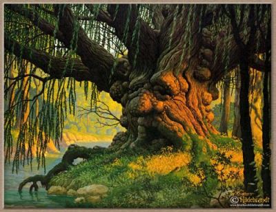 Contraffazione di senso