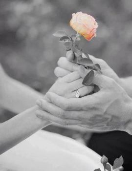 Intemperie della vita