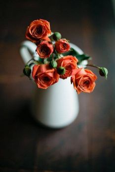 Dove s'inoltra la notte