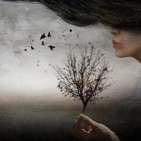 L'amabilità da architettare