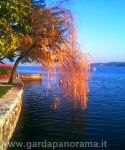 Immagini Dal Lago