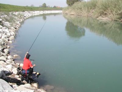 Gi�...nel cuore oltre la mente