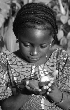 Dalle lacrime solo singhiozzi (doroty)