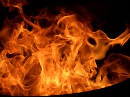 L' occhio del serpente