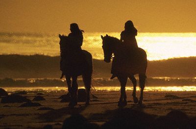 L' essenza delle parole