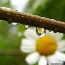 Riascoltare l'eco dei sorrisi