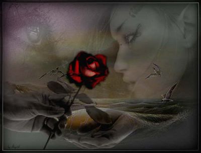 Regalami ancora... amore