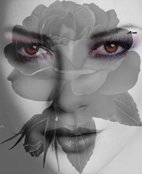 Il regalo pi� bello