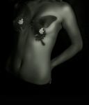 Con la passione nel sangue