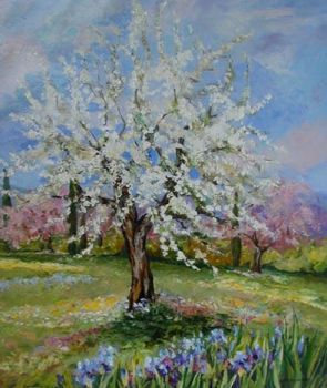 La collina dei ciliegi