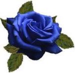 Nel nome del Signore