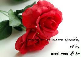 Fino all'ultima carezza