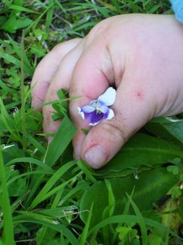 In viaggio tra i sapori della mia infanzia