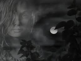 Nell�abbraccio della notte