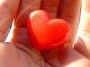 Un cuore in mano