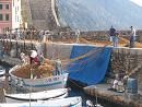 Il Porticciolo di Camogli