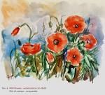 Con la luce negli occhi