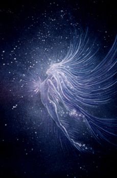 Io Si che Ti Ho Amato