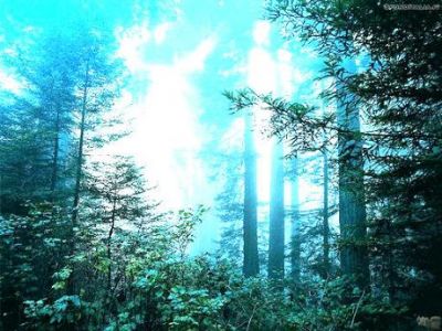 Mamma, Pap� Mi Mancate